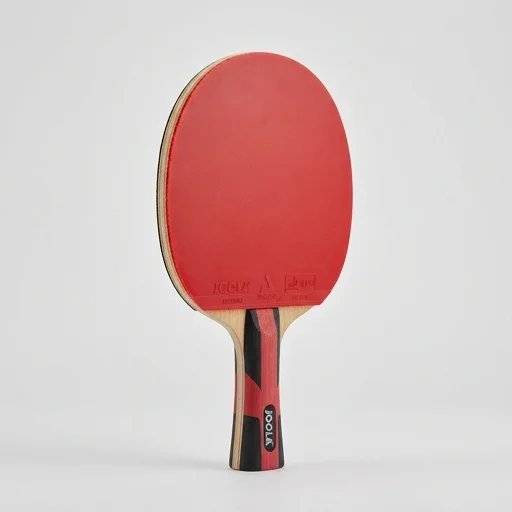 JOOLA Table Tennis Paddle
